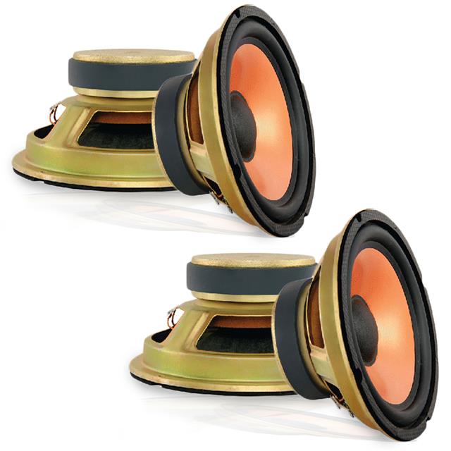 WF 8110G 2 PCS 5 Core Inc  Speakers